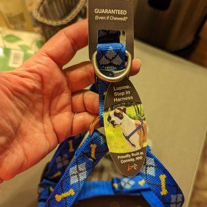 Lupine 3/4 in Dapper Dog Step In Harness